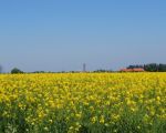La Campagne