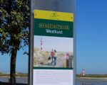 Walking