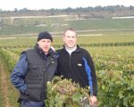 Druivenoogst bij JF Coche-Dury 2008