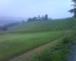 Piëmonte 2008