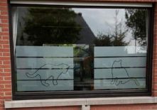 kat zandstraal.jpg