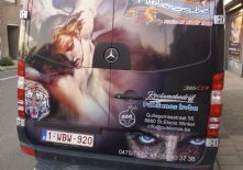 camionette achterkant publi.jpg