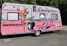 DIERENASIEL.jpg