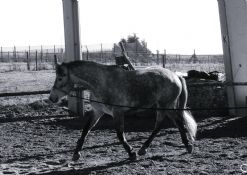 DSCN6296.JPG