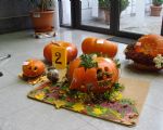 Pompoenactie 2009